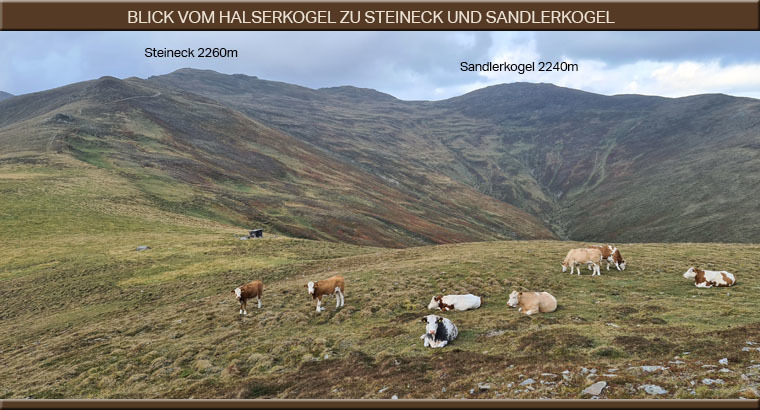 Panoramabild