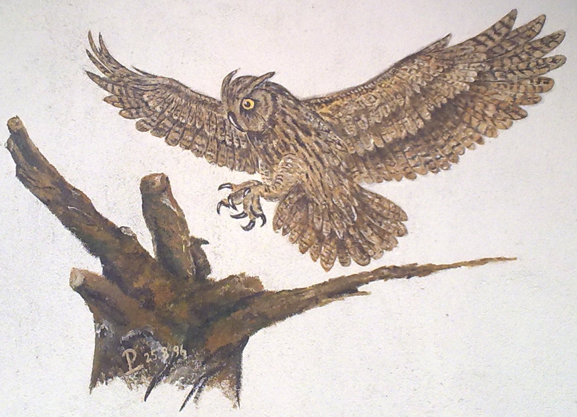 Suchbild 04 Essen-Horst