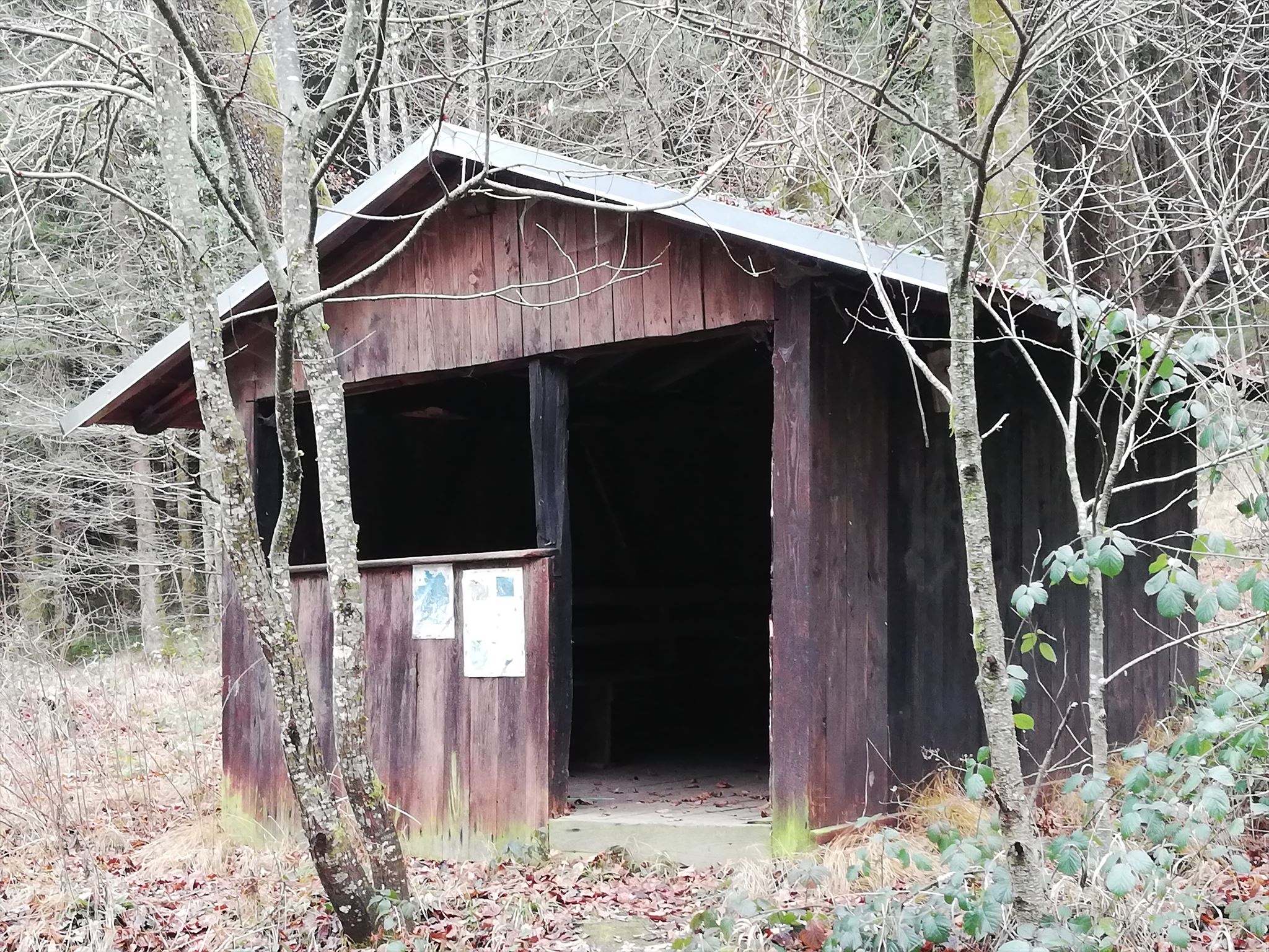 Hütte