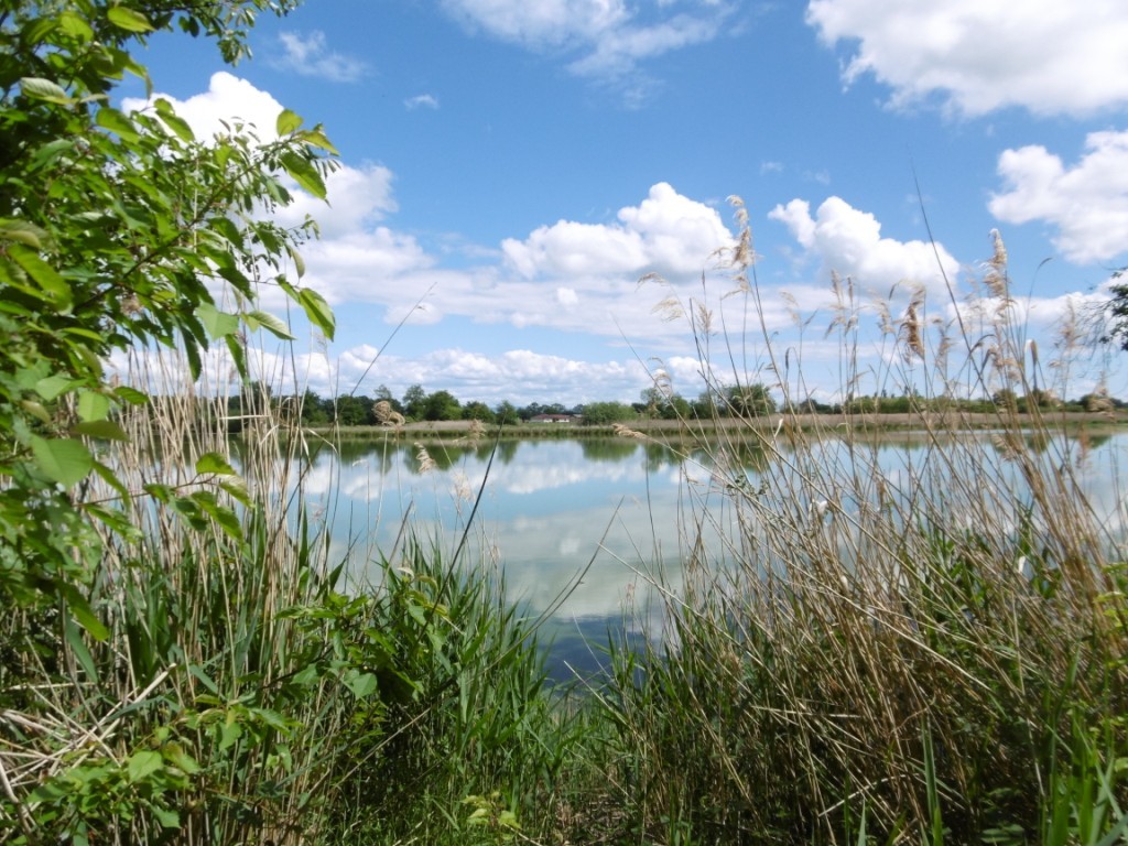 Vue sur un étang
