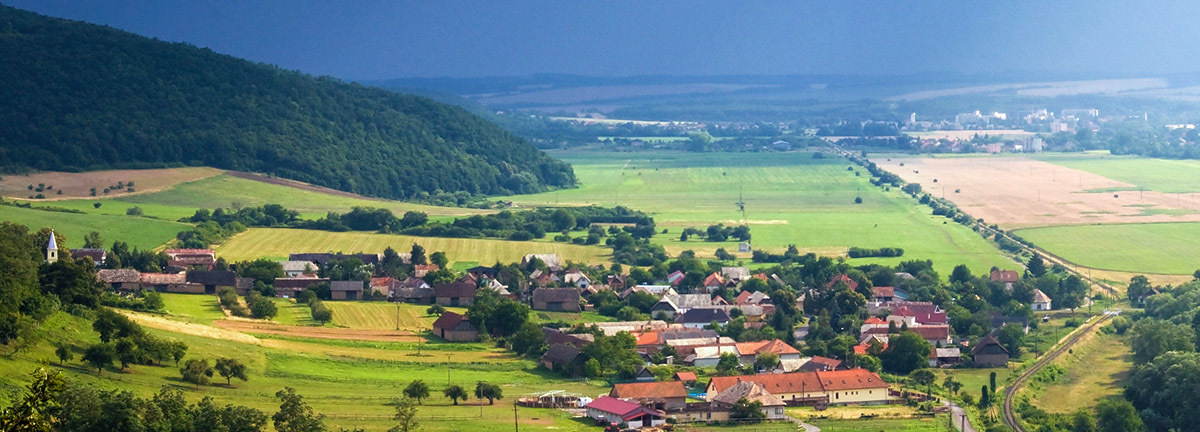 Dvorníky z Pliešky