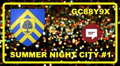 Summer Night City Event #1