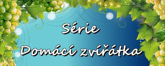 Domácí zvířátka-TOP