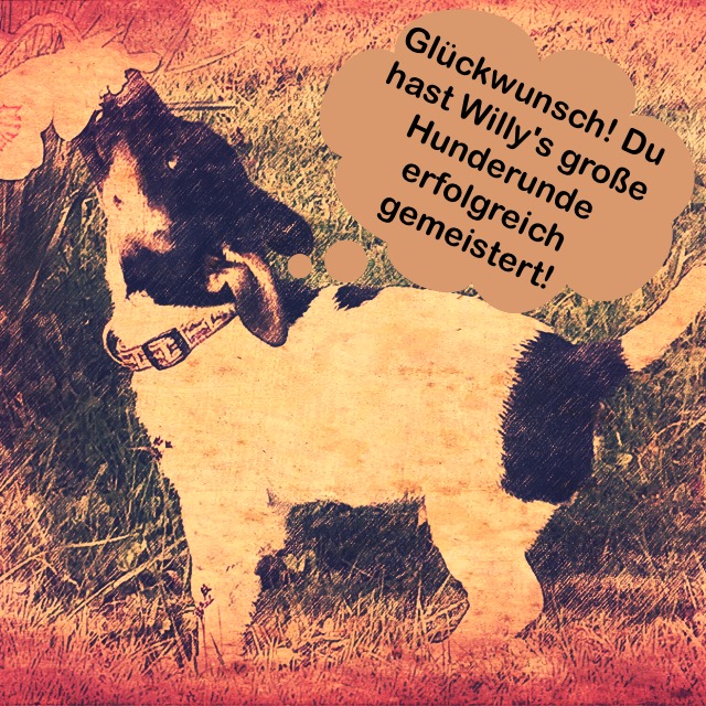 GC6QNH4 - Willy's große Hunde-Runde