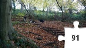 Jigsaw puzzle - Philtime_10