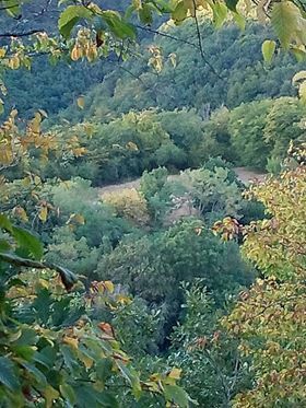 Burg Waldeck mitten im Tal