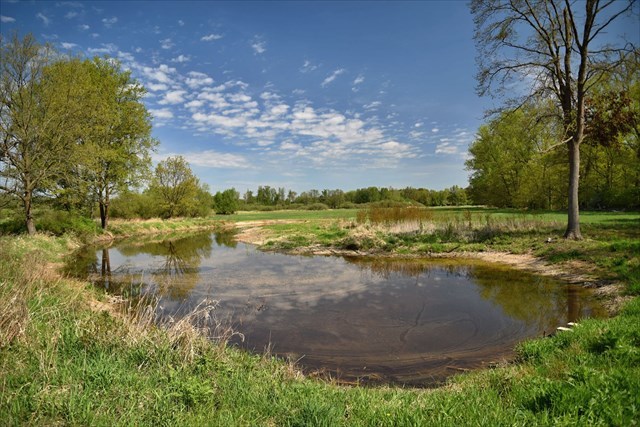 Nejjižnější tůň po revitalizaci v první etapě