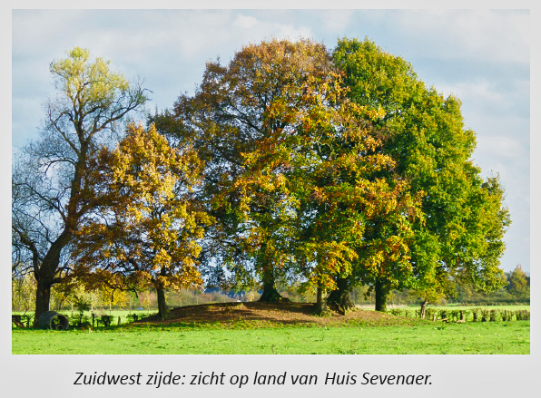 Gimbornhof 7 Gimbornhof 7