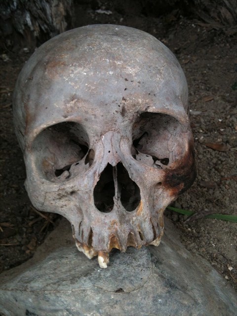 mein grausigster Cache-Fund