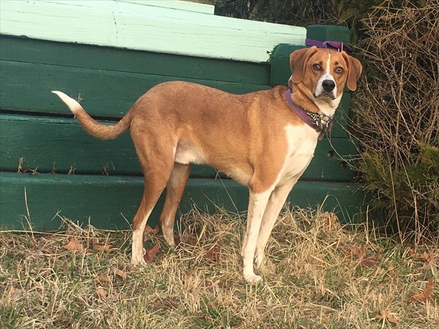 Please join SLAGA, we welcome new members!