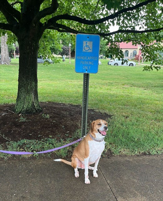 Please join SLAGA, we welcome new members!