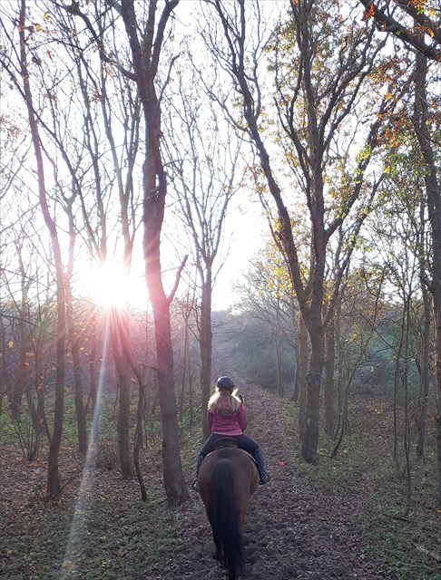 heuvel heuvel
