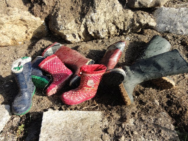 Gumboot collection