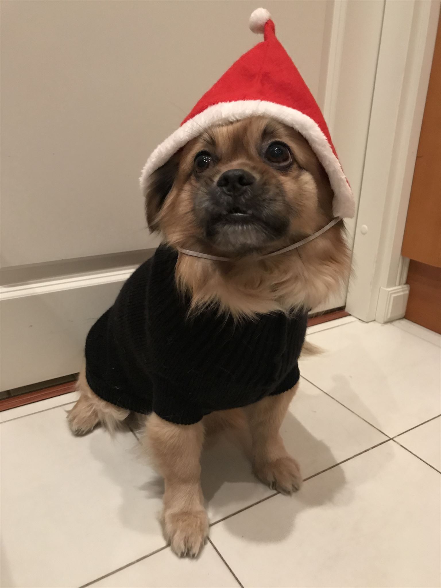 Sähköinen Rouva Maa