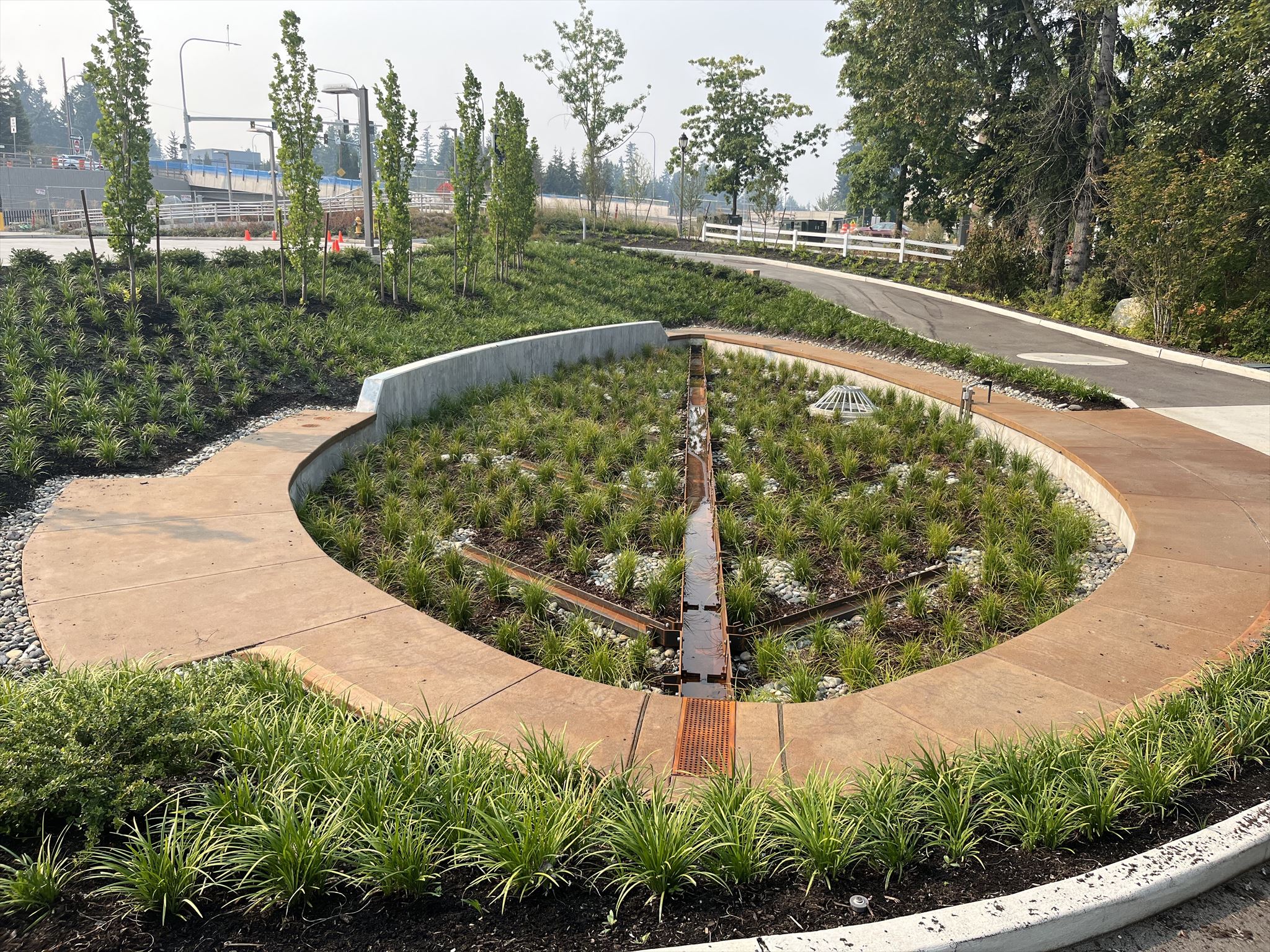 Stormwater Treatment Facility Shaped Like a Giant Leaf