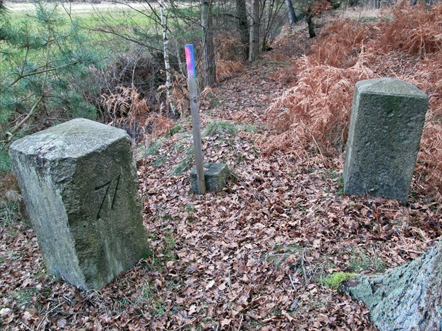 Click for Larger Image Grenzstein 85