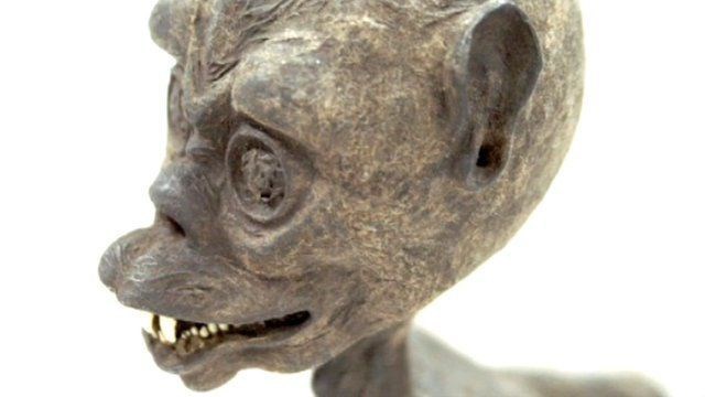 Legendary Monkey Fish