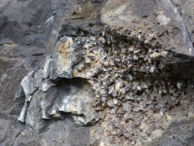 ausgewitterte Oliven