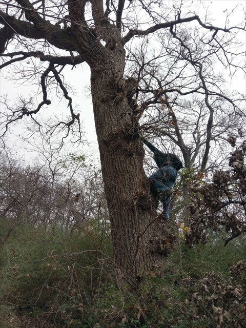 David free climbing to Orange Crush