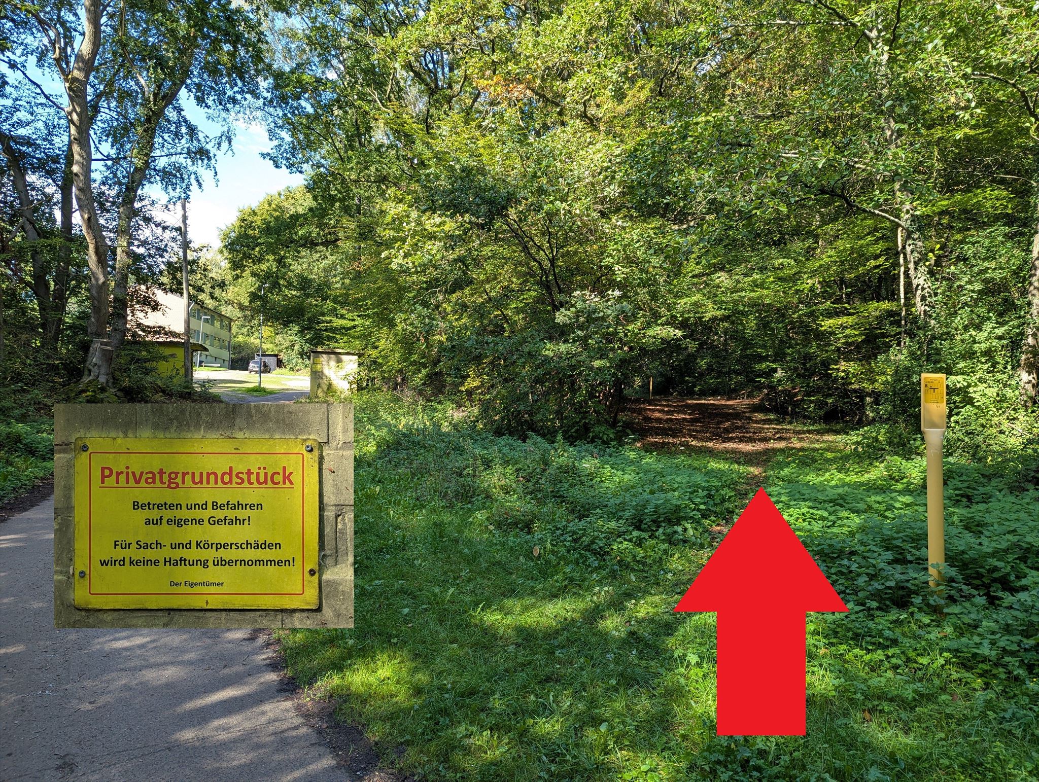 Hinweis auf Waldweg