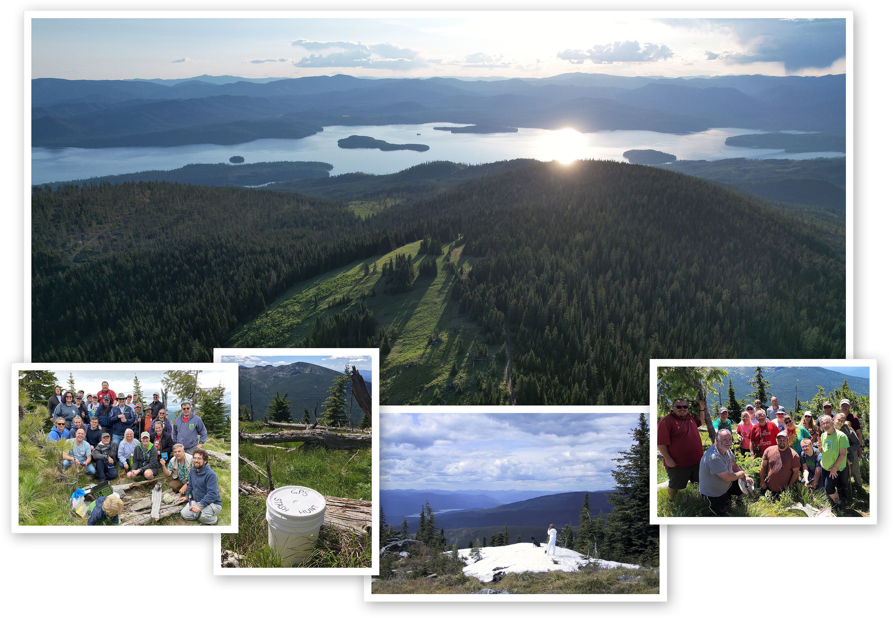 Camels Prairie Collage