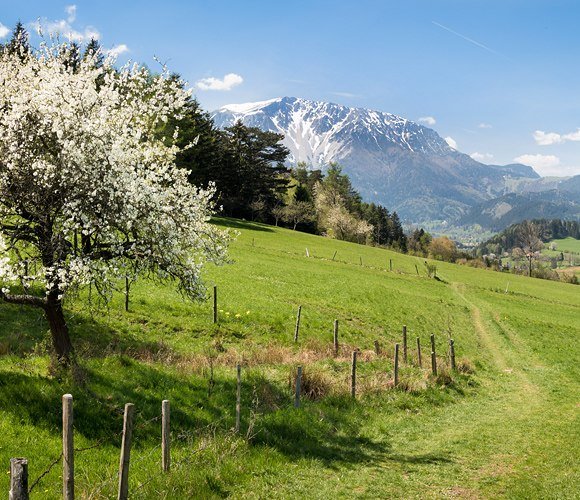 Wiener Alpen - Paradies der Blicke