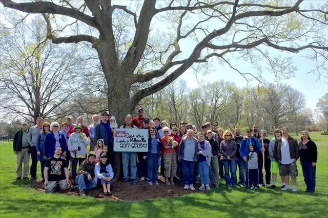 Group under large tree