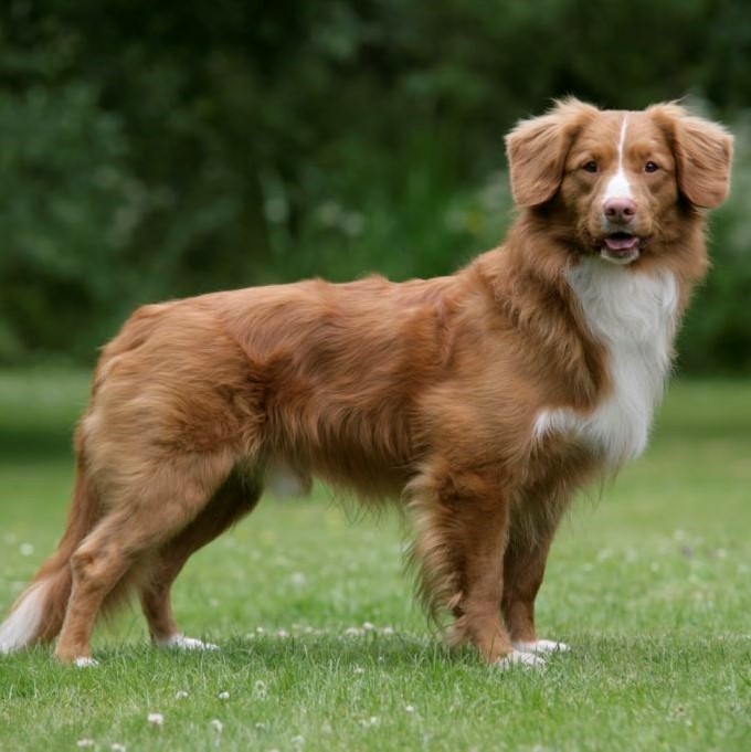 INSERT ALT TEXT HERE