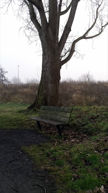 De stash bevindt zich op 354 m van dit bord.
