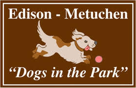 Dogs in the Park