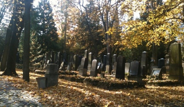 Friedhof