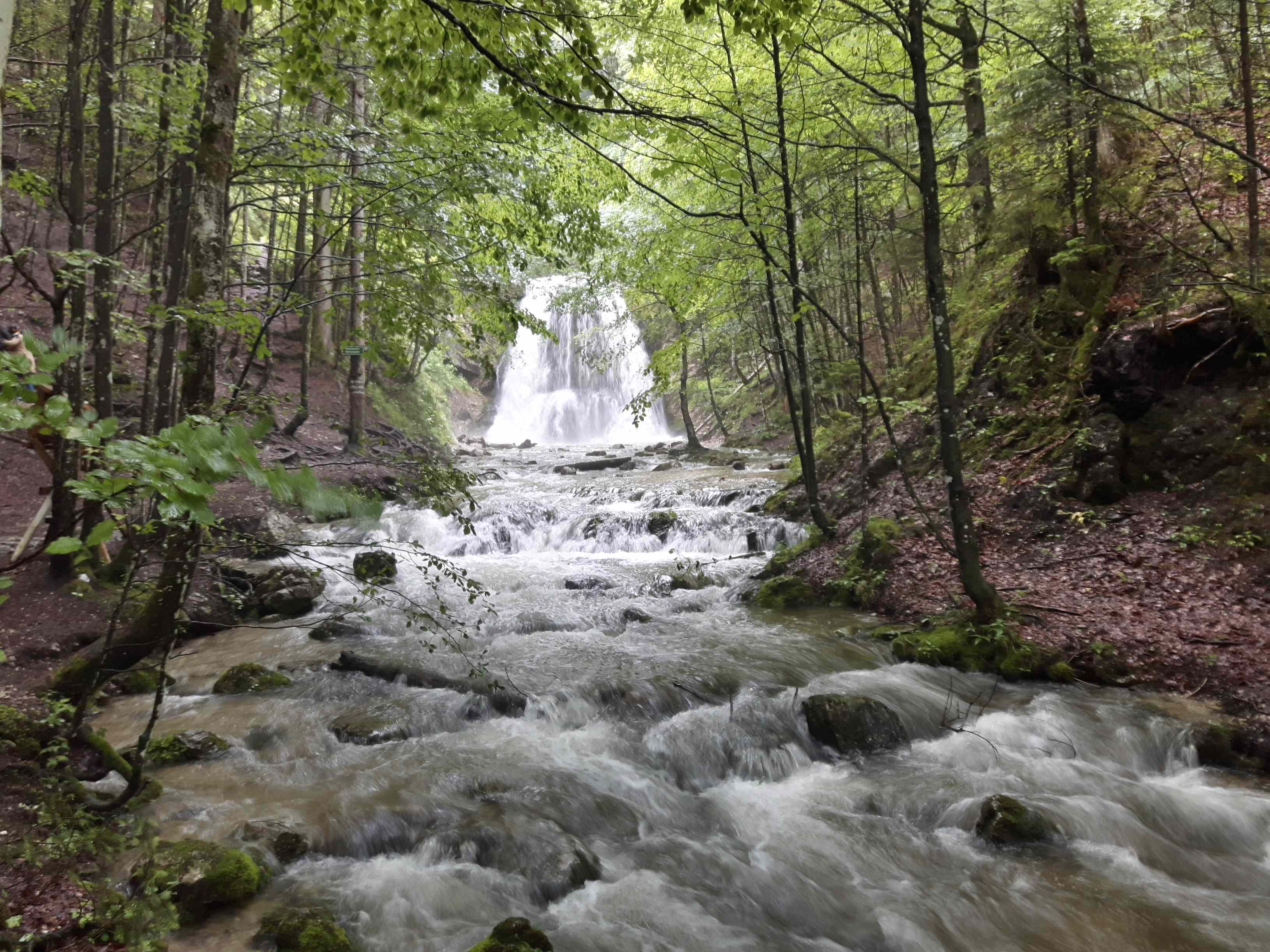 GC78ACZ Der Wasserfall (Traditional Cache) in Bayern, Germany created