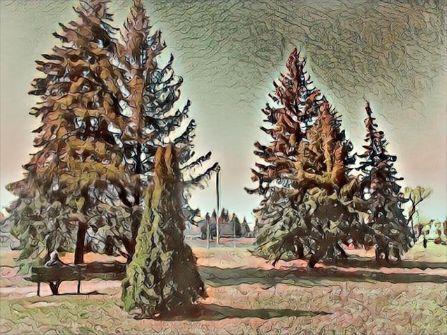 Le lieu du pèlerinage