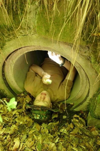 Nelebedí si, luští...