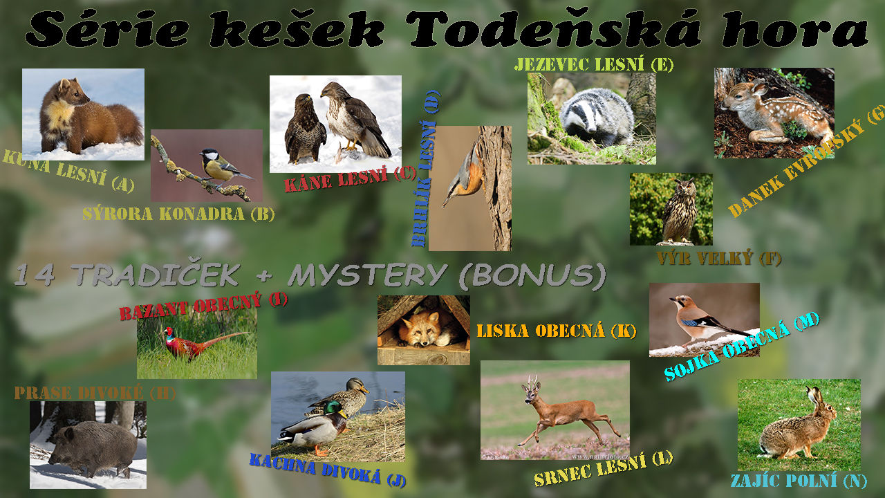 Seznam zvířat DODĚLAT