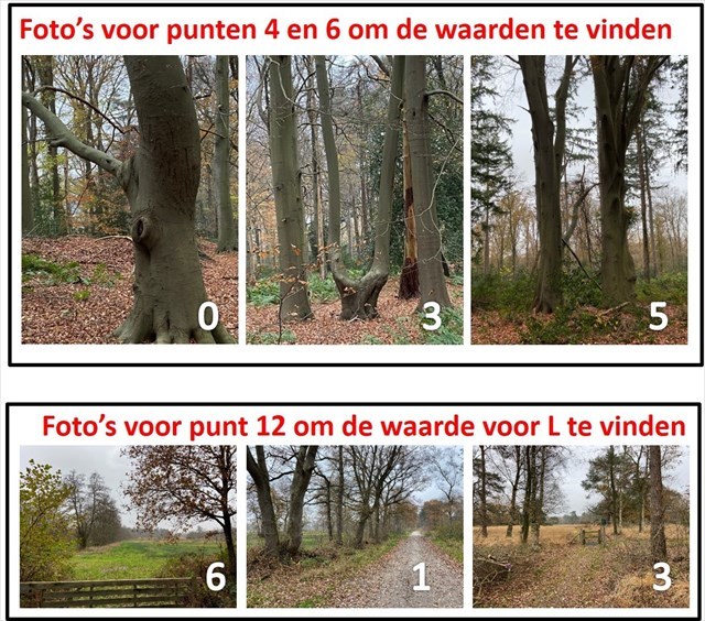 fotoalbum