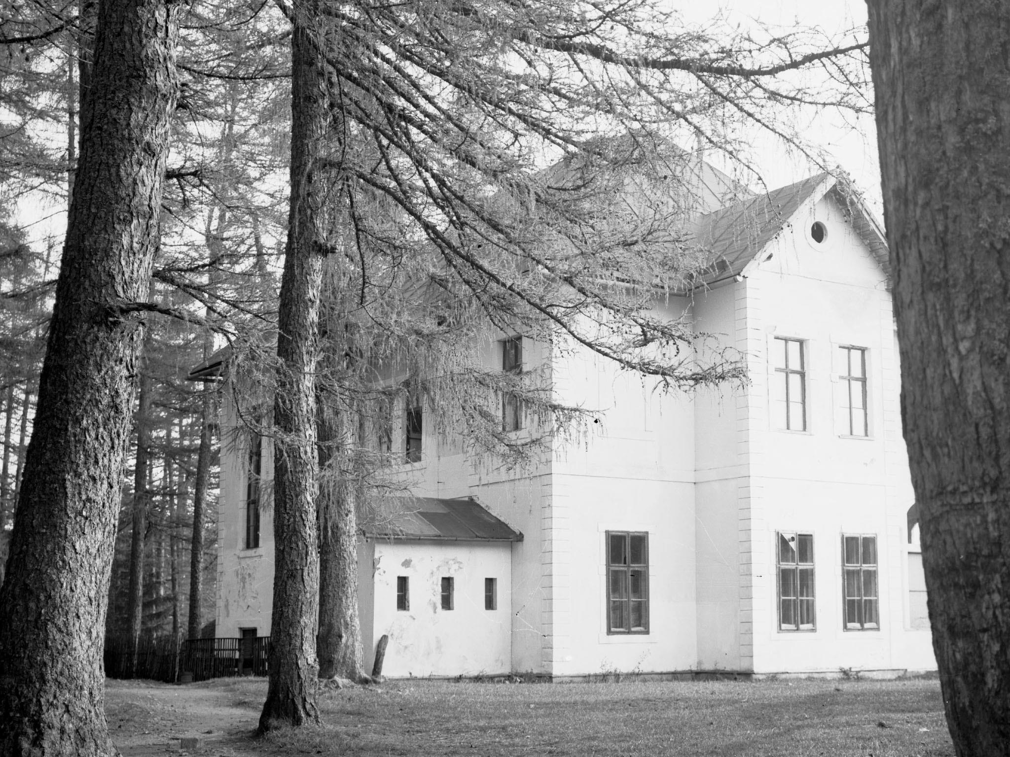 Bývalá Ružová vila v objatí smrekovcov opadavých