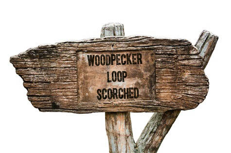 WPL - Scorched