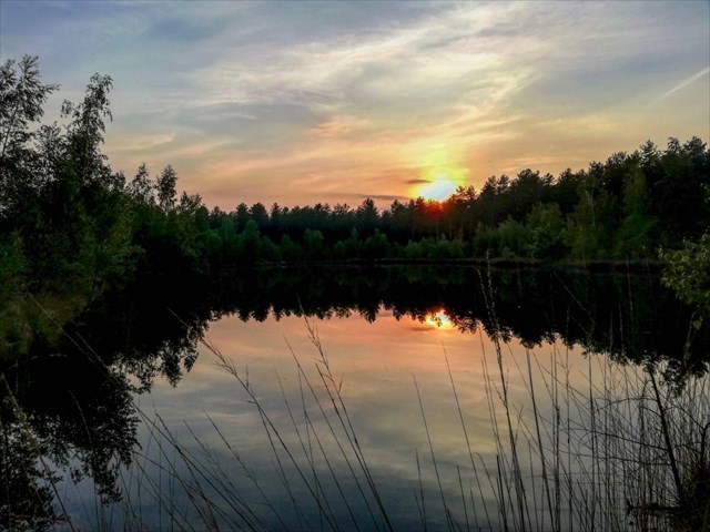 Laat poeltje Laat poeltje