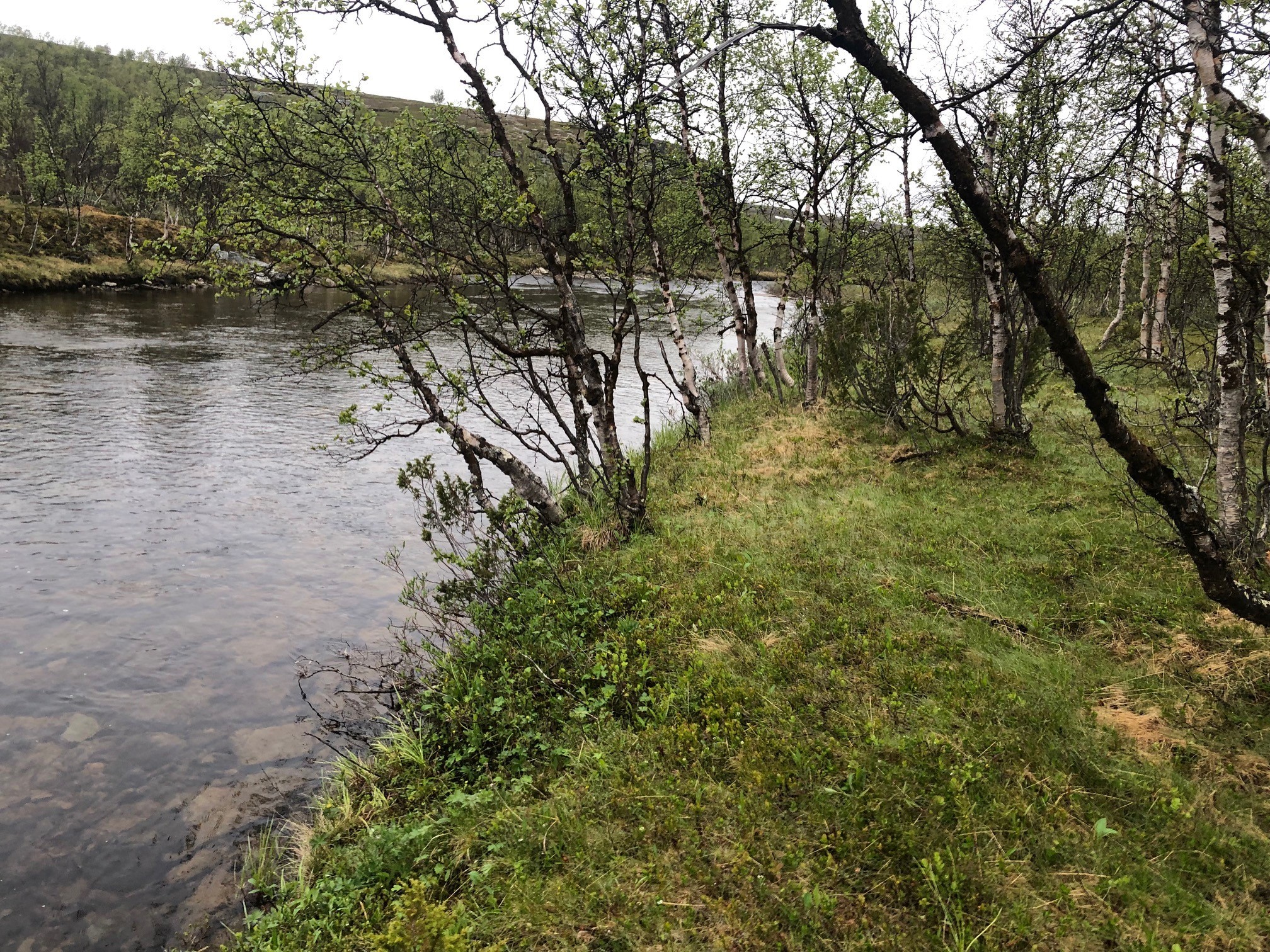 Her lå protestleiren i 1981