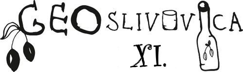 Geoslivovica IX.