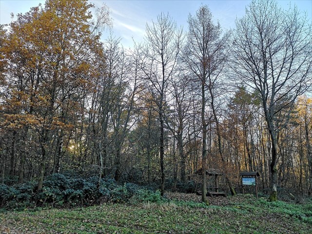 NS VRANČICKÁ DRAHA