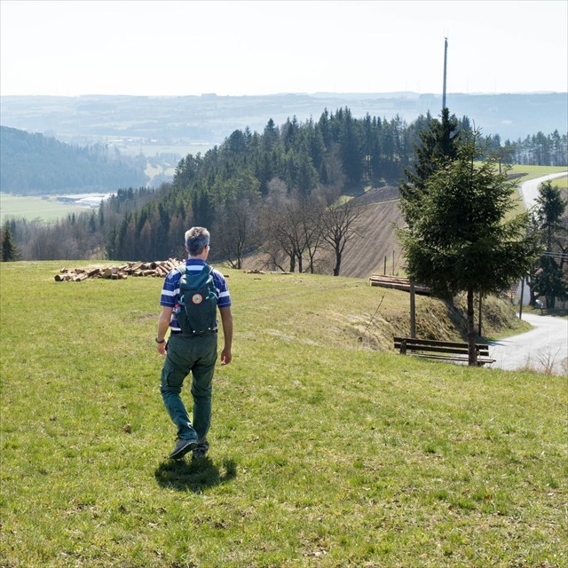 Fränkische Linie