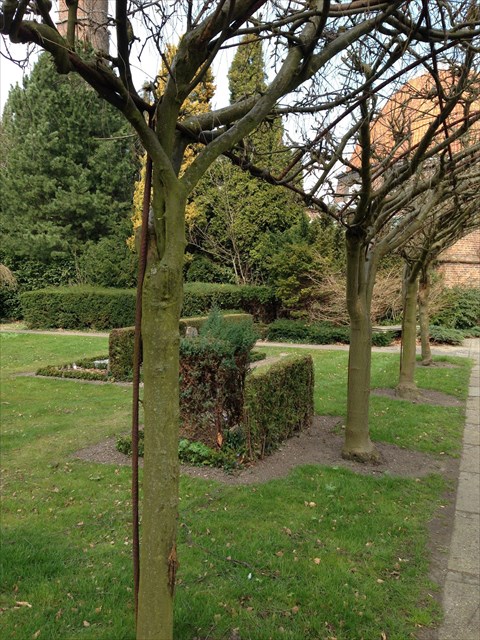 e44dfcdf-c9e0-4c0d-9713-552ecffda431_l.jpg (480×640)