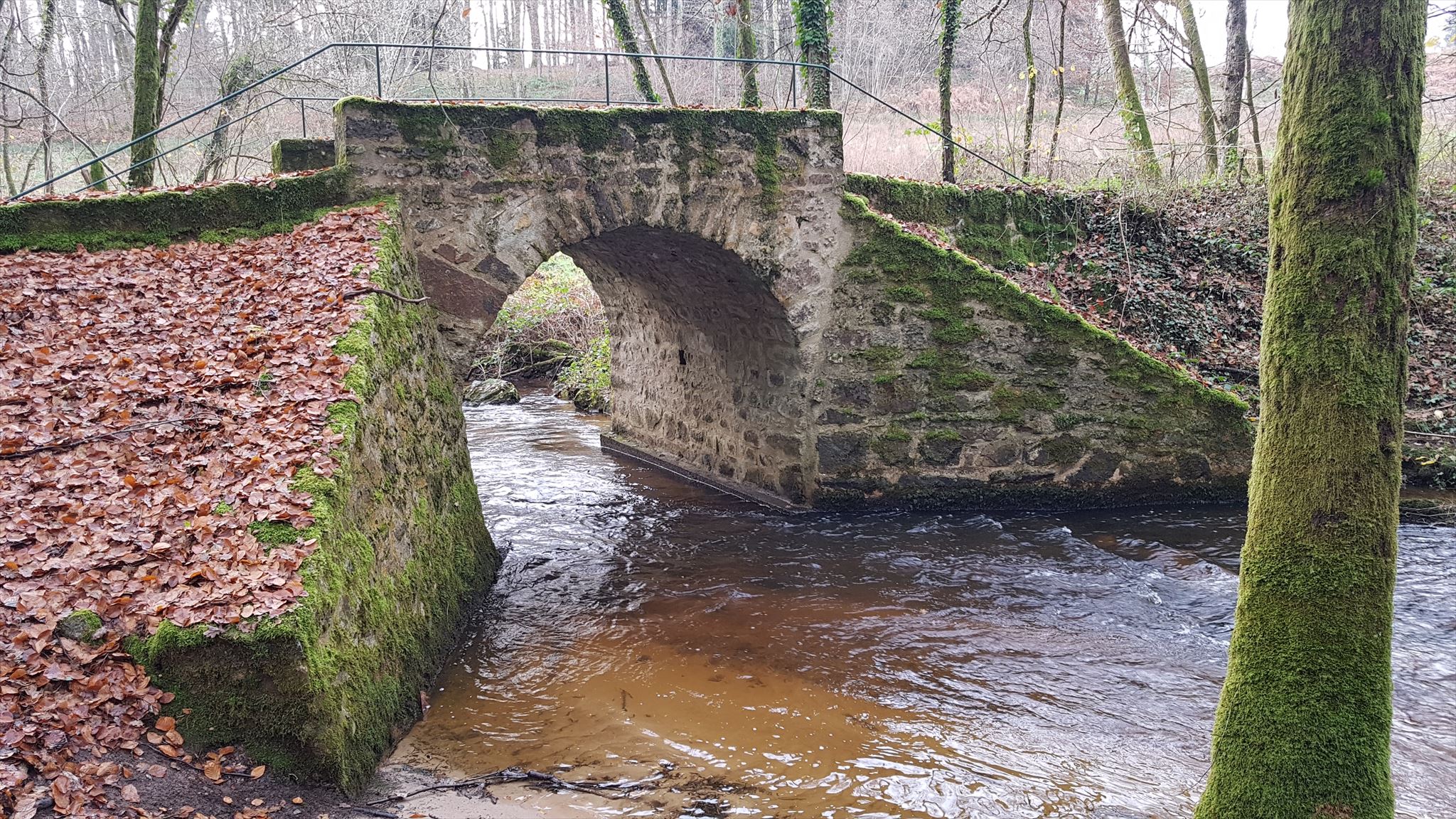 Le pont