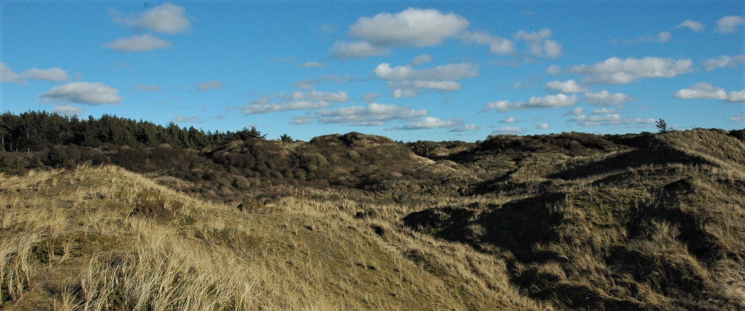 Udsigt mod øst over Hønsebakkerne Udsigt mod øst over Hønsebakkerne