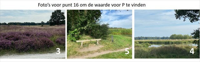 fotoalbum punt 16