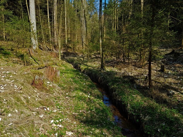 Bild: Der Bach im Winter