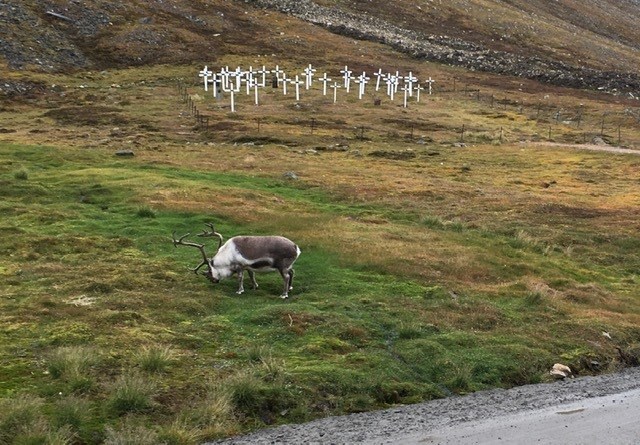 e633ac52-4405-46f7-ba9c-cb5f7d4780c1_l.jpg (640×445)