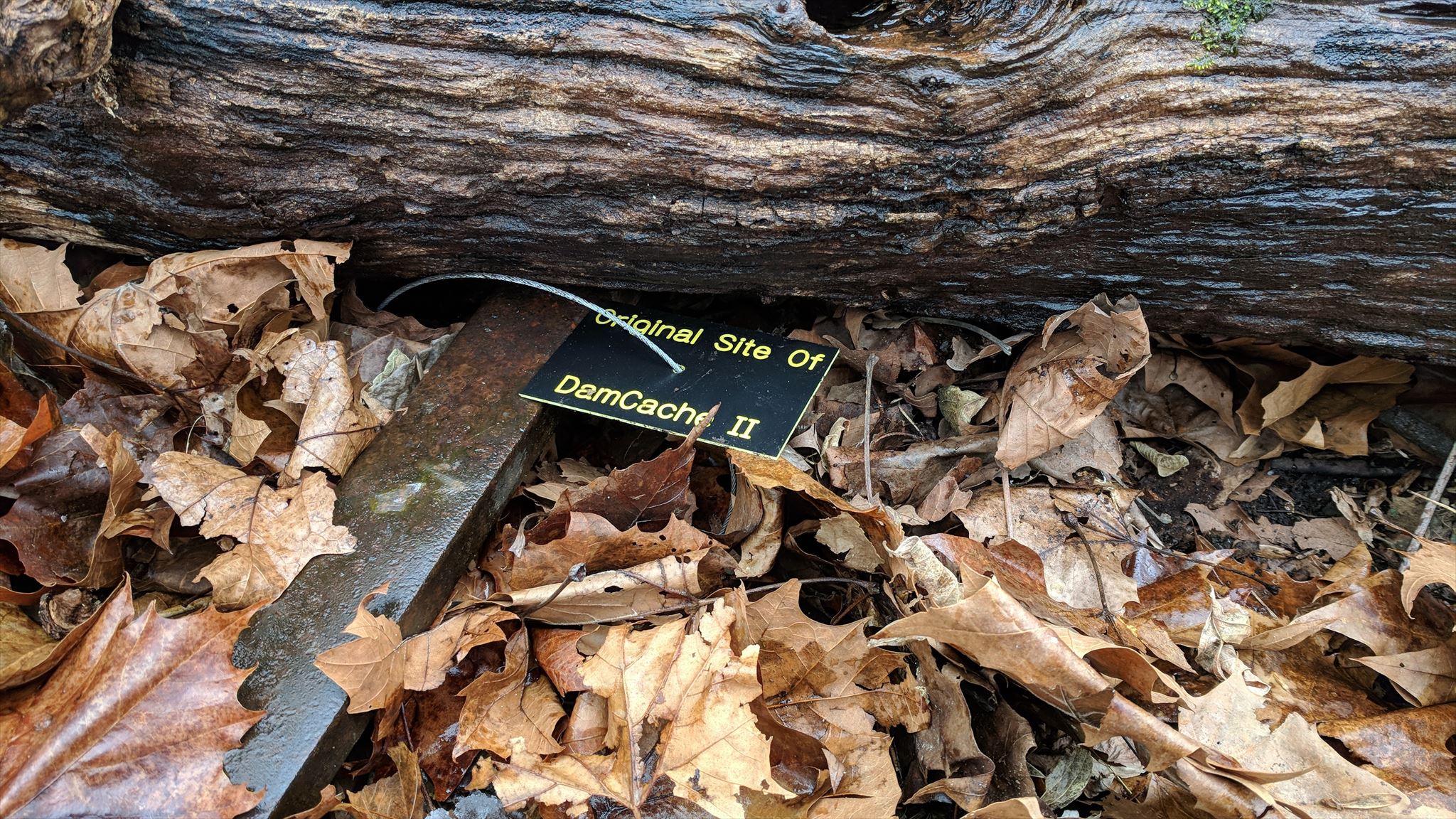 R.I.P., DAM Cache II!